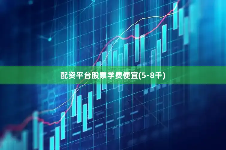 配资平台股票学费便宜(5-8千)