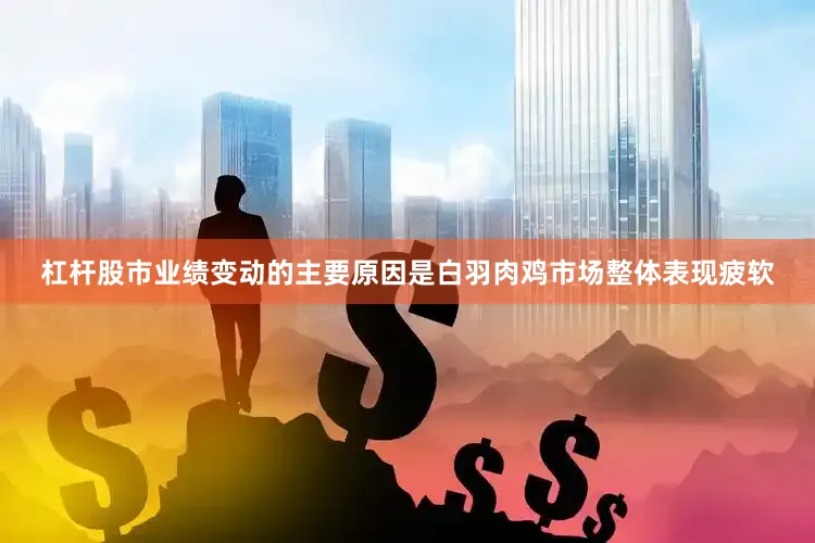 杠杆股市业绩变动的主要原因是白羽肉鸡市场整体表现疲软